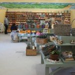 Felicitys Farm Shop Felicitys Farm Shop